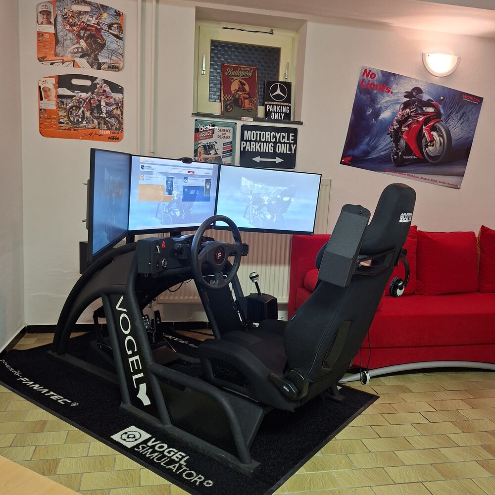 Der Vogel-Simulator in Eppingen: Fahrersitz, Lenkrad, Pedale und drei Bildschirme